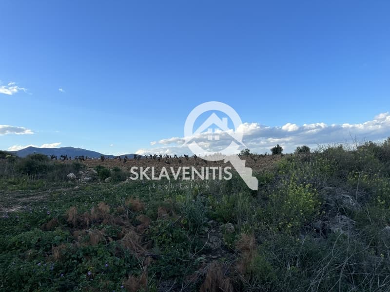 Αγροτεμάχιο στην Νεάπολη, Σπάτα — Φωτογραφία 5 από 5