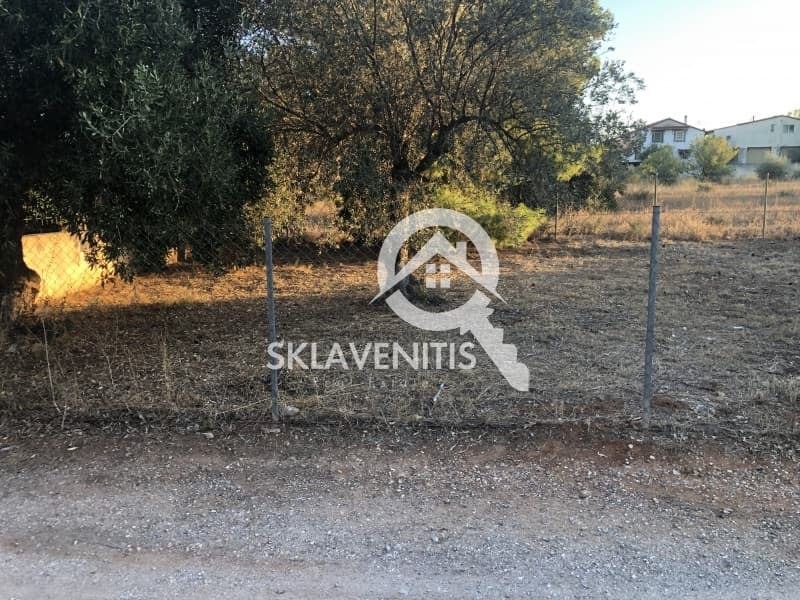 Οικόπεδο στην Άγιος Σεραφείμ, Αρτέμιδα (Λούτσα) — Φωτογραφία 3 από 6