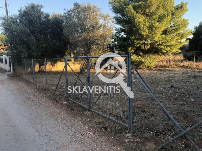 Οικόπεδο στην Άγιος Σεραφείμ, Αρτέμιδα (Λούτσα) — Φωτογραφία 5 από 6