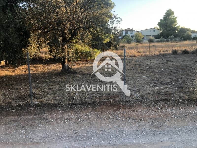 Οικόπεδο στην Άγιος Σεραφείμ, Αρτέμιδα (Λούτσα) — Φωτογραφία 1 από 6