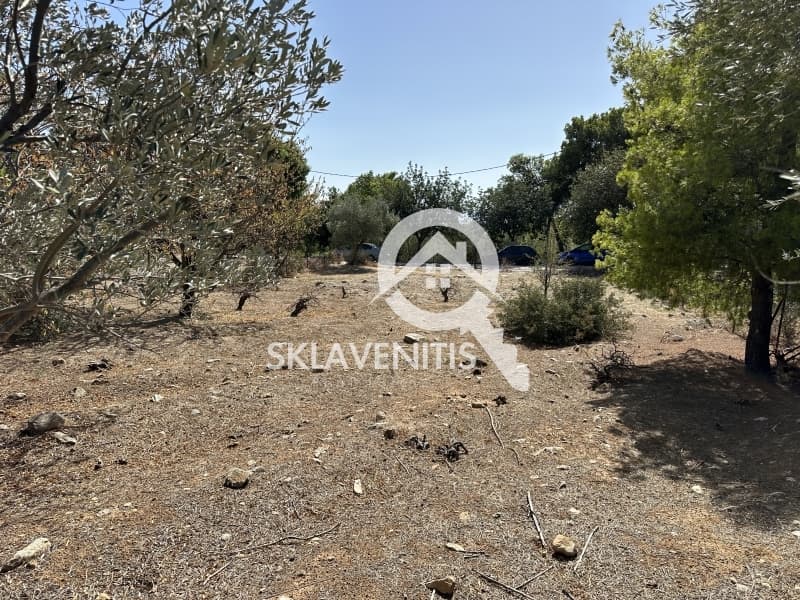 Οικόπεδο στην Διώνη, Πικέρμι — Φωτογραφία 10 από 18