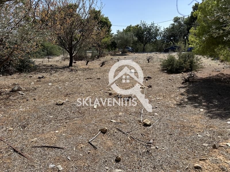 Οικόπεδο στην Διώνη, Πικέρμι — Φωτογραφία 9 από 18
