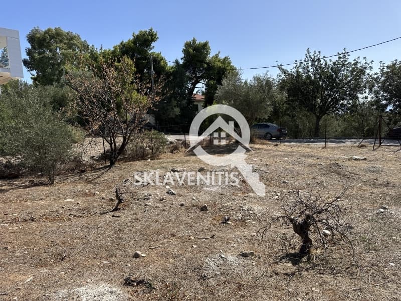 Οικόπεδο στην Διώνη, Πικέρμι — Φωτογραφία 11 από 18