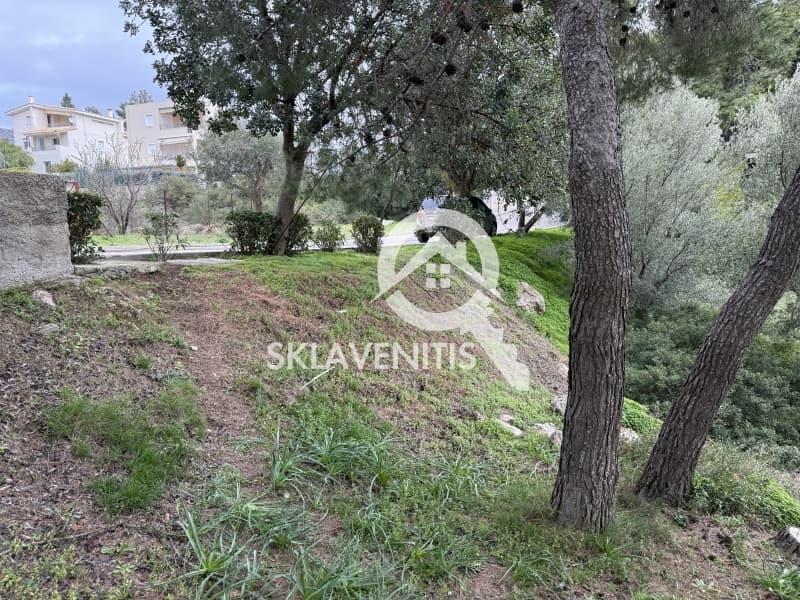 Οικόπεδο στην Διώνη, Πικέρμι — Φωτογραφία 15 από 15