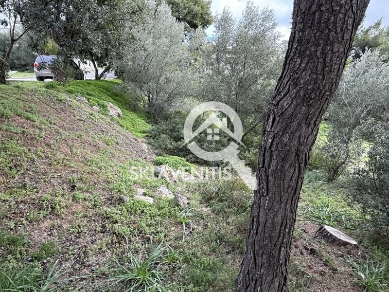 Οικόπεδο στην Διώνη, Πικέρμι — Φωτογραφία 3 από 15