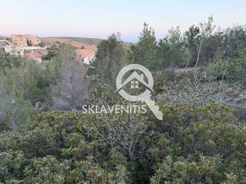 Οικόπεδο στην Δασαμάρι, Πικέρμι — Φωτογραφία 8 από 12