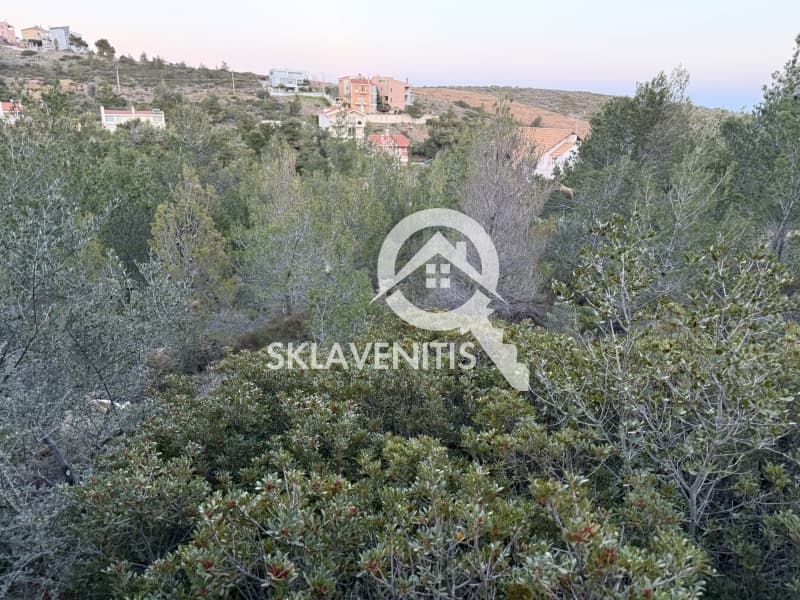 Οικόπεδο στην Δασαμάρι, Πικέρμι — Φωτογραφία 10 από 12