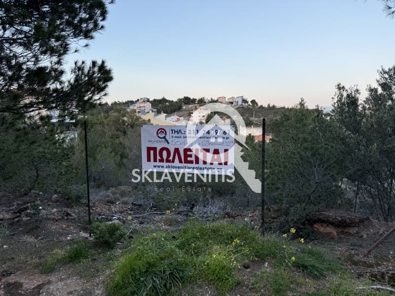 Οικόπεδο στην Δασαμάρι, Πικέρμι — Φωτογραφία 1 από 12