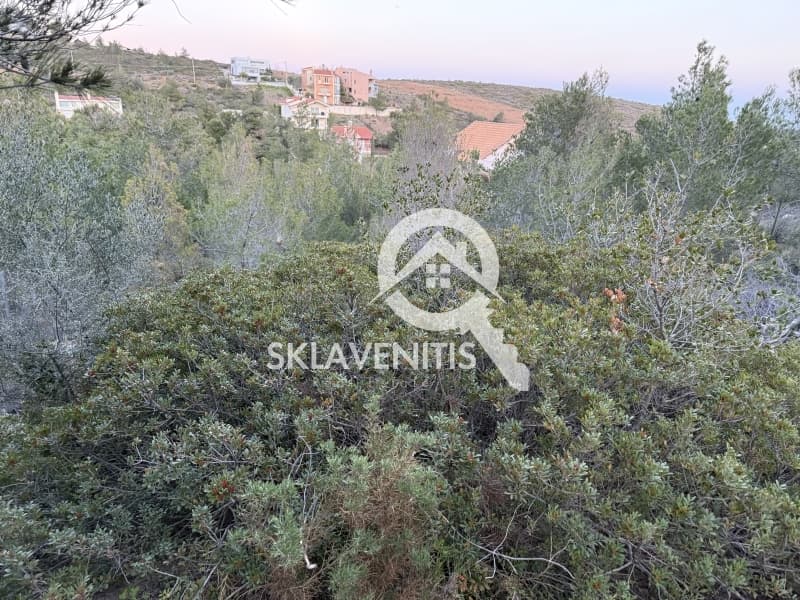 Οικόπεδο στην Δασαμάρι, Πικέρμι — Φωτογραφία 4 από 9