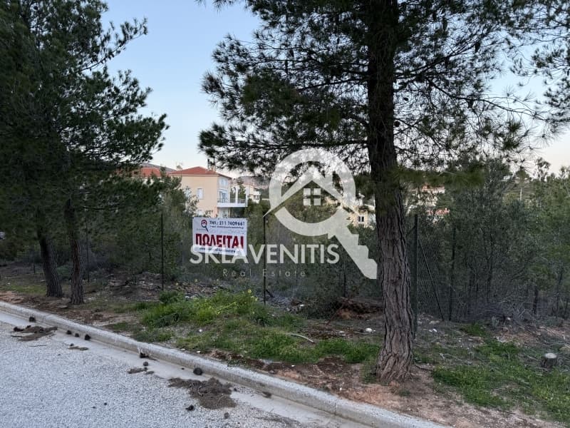 Οικόπεδο στην Δασαμάρι, Πικέρμι — Φωτογραφία 2 από 9