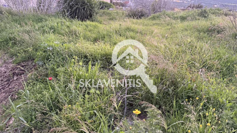 Οικόπεδο στην Νεάπολη, Σπάτα — Φωτογραφία 6 από 8