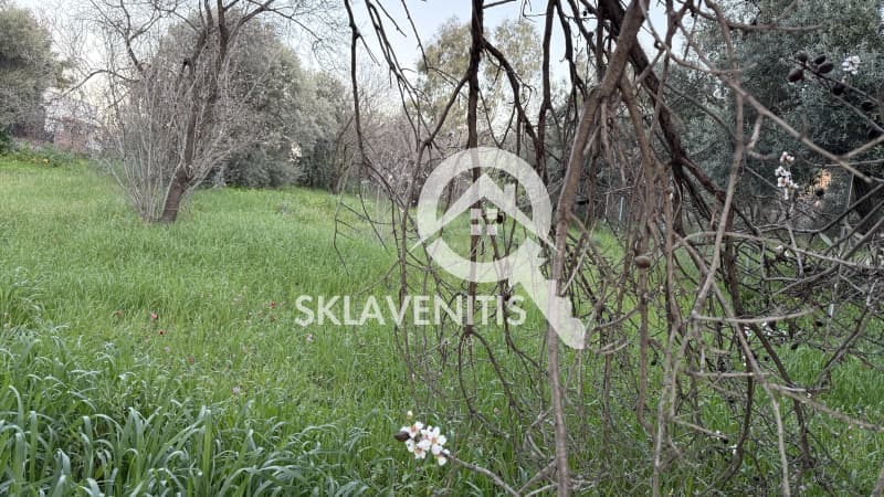 Building Plot in Neapoli, Spata — Photo 2 of 16