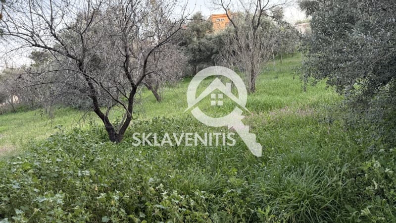 Building Plot in Neapoli, Spata — Photo 7 of 16