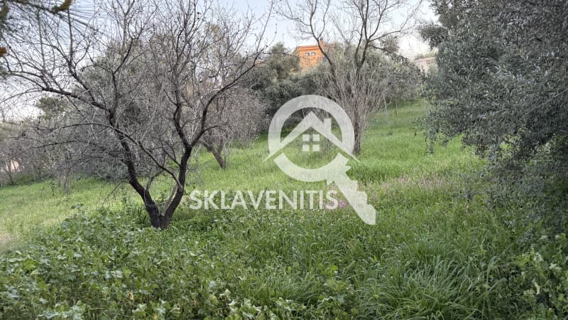 Building Plot in Neapoli, Spata — Photo 6 of 16