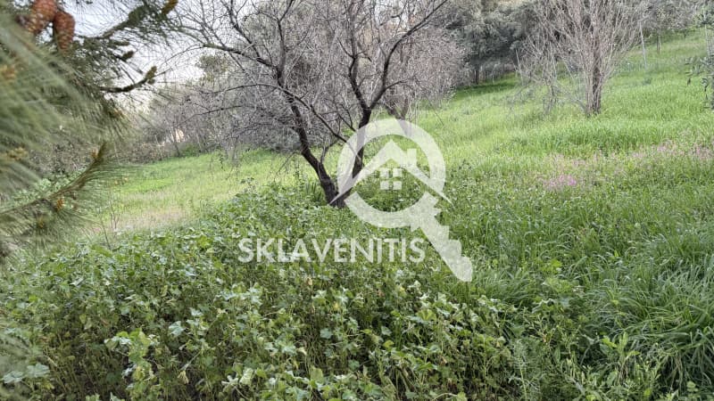 Building Plot in Neapoli, Spata — Photo 5 of 16