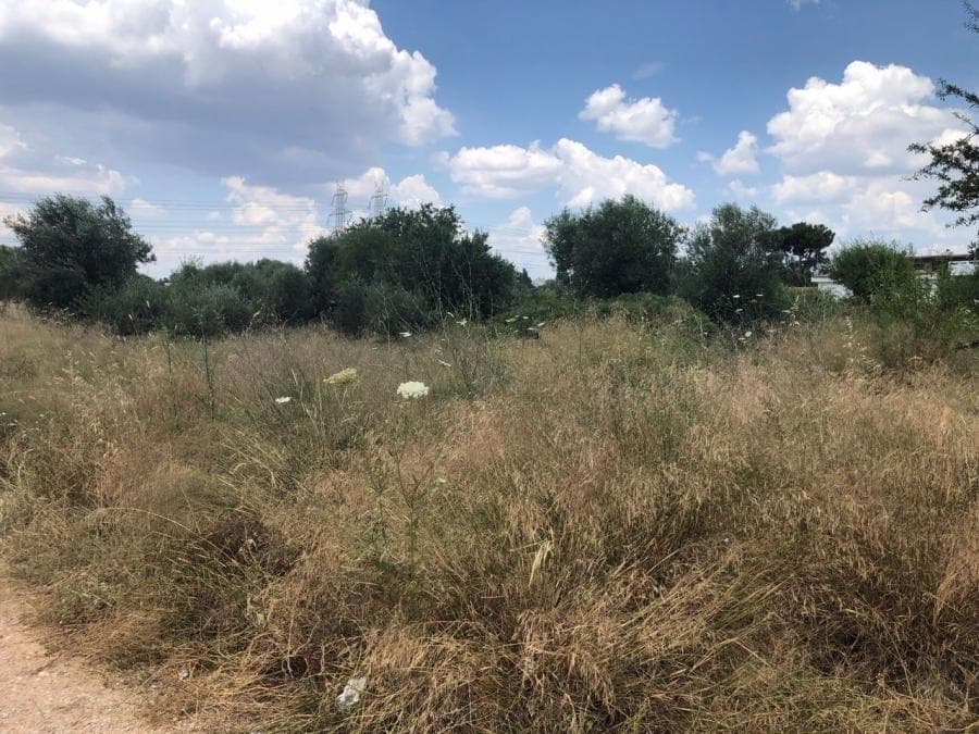 Οικόπεδο στην Άνω Μπαλάνα, Παλλήνη