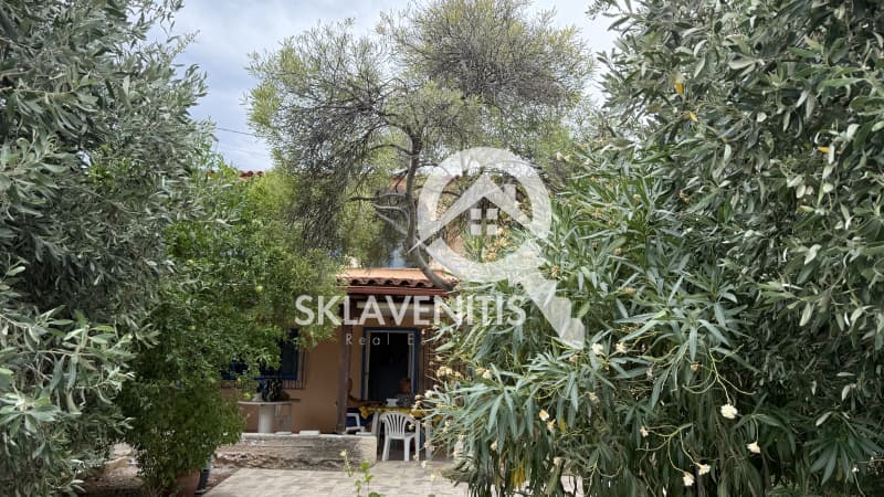 Μονοκατοικία στην Βορινέζα, Αρτέμιδα (Λούτσα) — Φωτογραφία 28 από 30