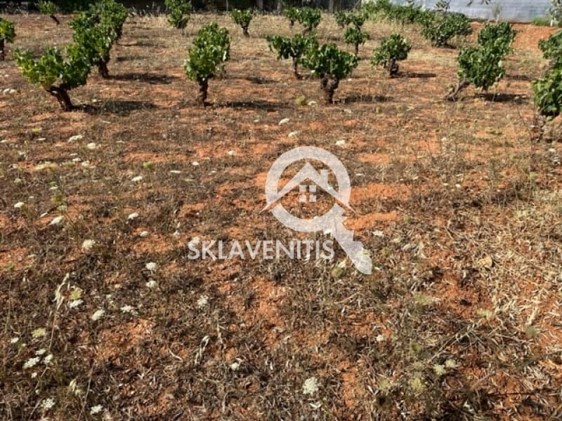 Οικόπεδο στην Κέντρο, Αρτέμιδα (Λούτσα) — Φωτογραφία 1 από 3