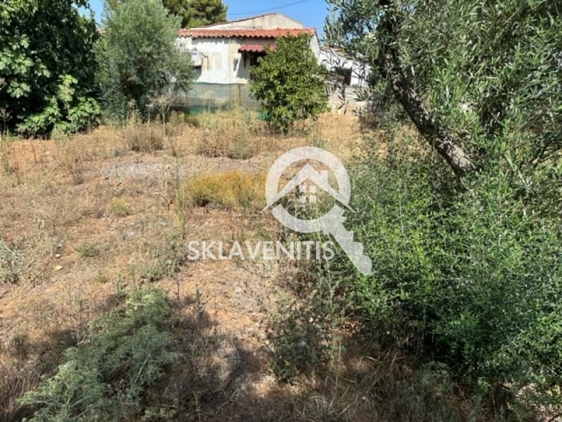 Οικόπεδο στην Βορινέζα, Αρτέμιδα (Λούτσα) — Φωτογραφία 5 από 6