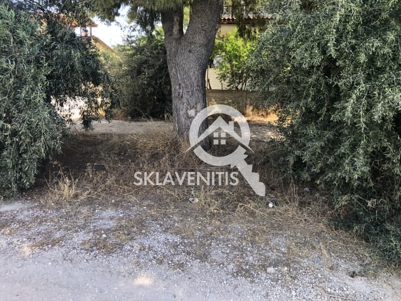 Οικόπεδο στην Κέντρο, Αρτέμιδα (Λούτσα) — Φωτογραφία 1 από 6