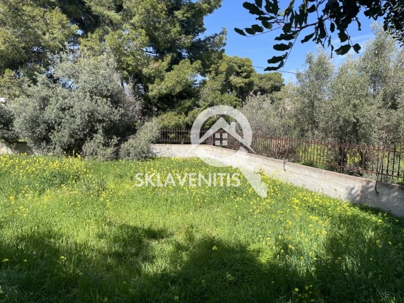 Οικόπεδο στην Κέντρο, Αρτέμιδα (Λούτσα) — Φωτογραφία 5 από 7