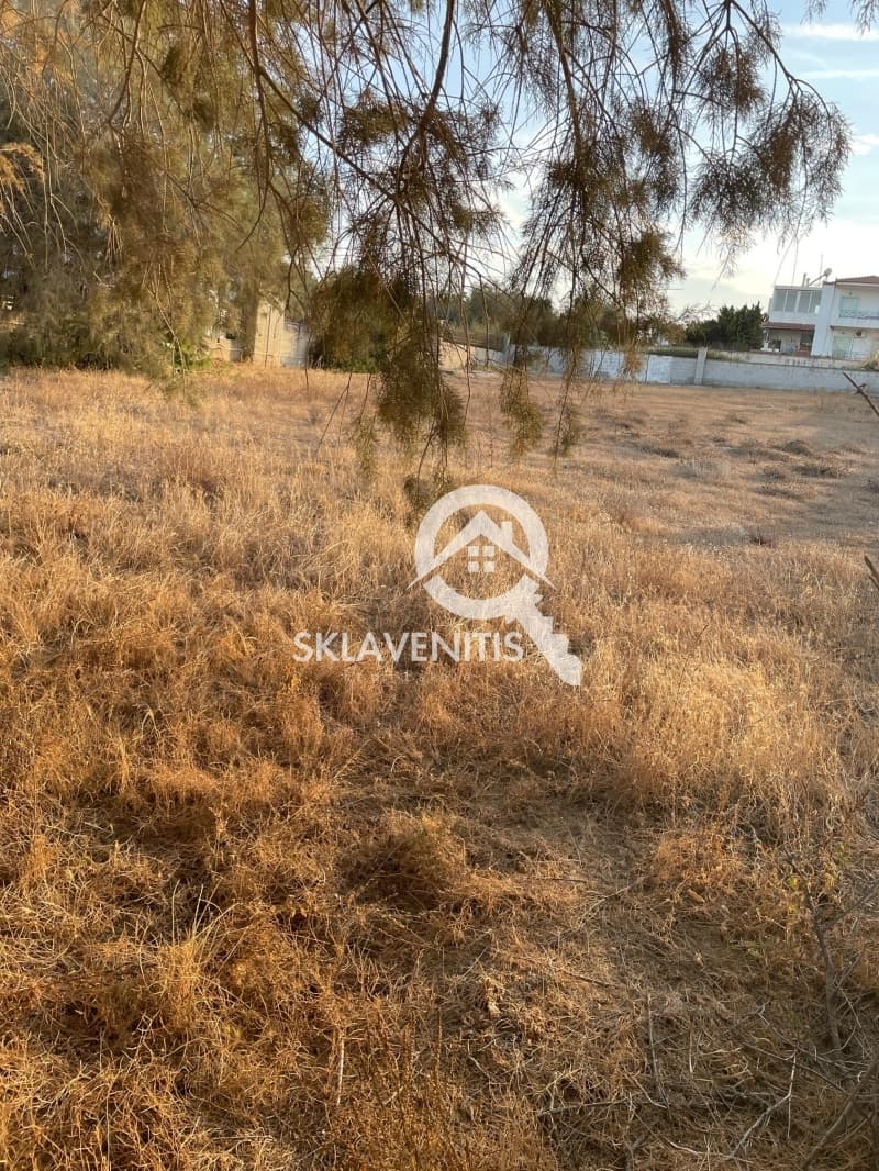 Οικόπεδο στην Βορινέζα, Αρτέμιδα (Λούτσα) — Φωτογραφία 3 από 4