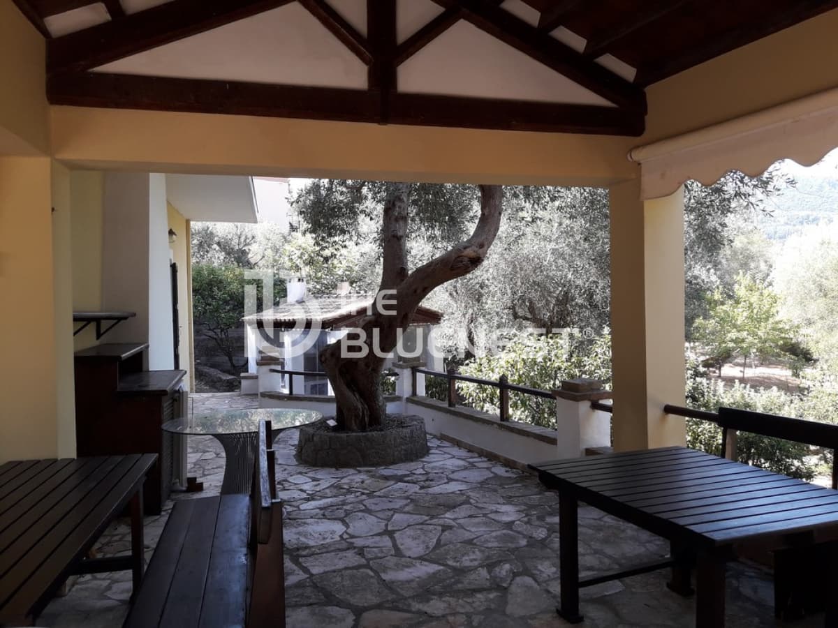 House in Achilleio, Corfu — Photo 16 of 24