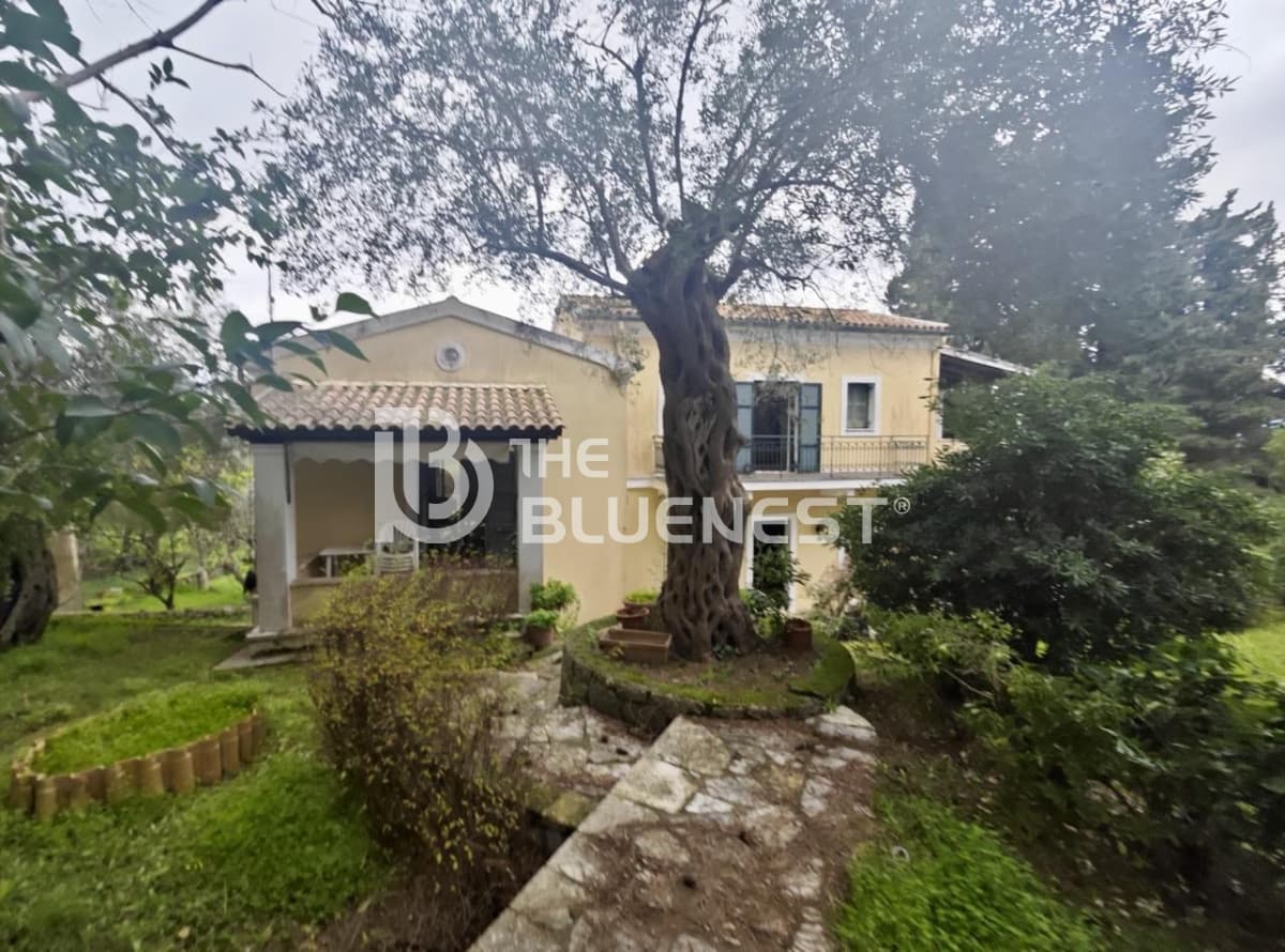 House in Achilleio, Corfu — Photo 2 of 24