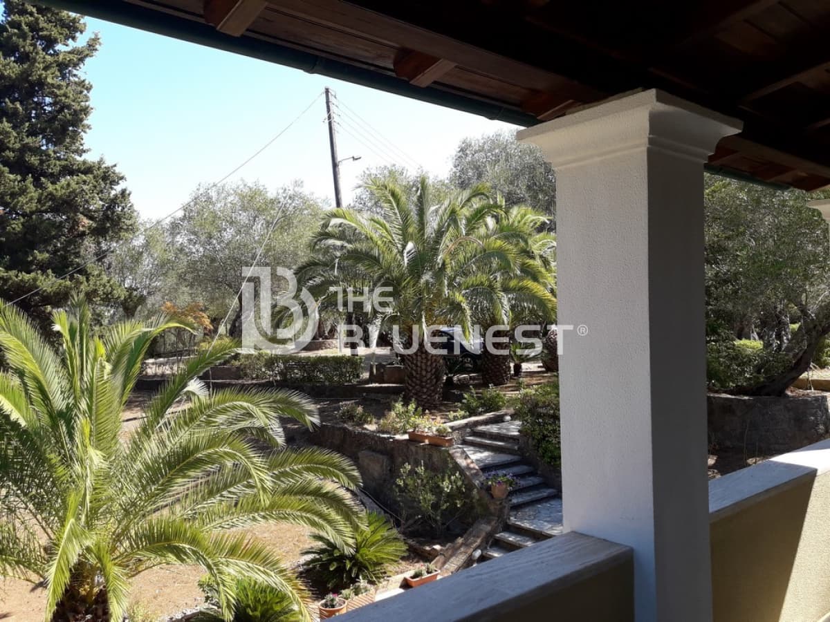 House in Achilleio, Corfu — Photo 19 of 24