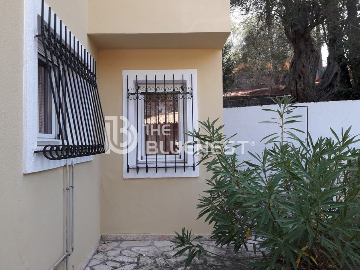 House in Achilleio, Corfu — Photo 24 of 24
