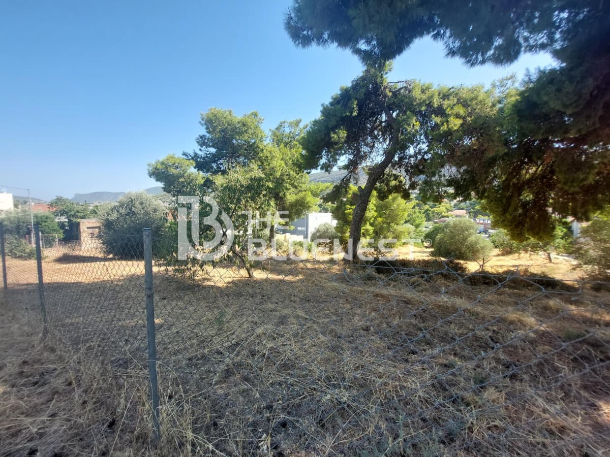 Building Plot in Porto Rafti, Vravrona — Photo 2 of 8