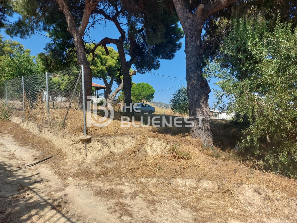 Building Plot in Porto Rafti, Vravrona — Photo 6 of 8