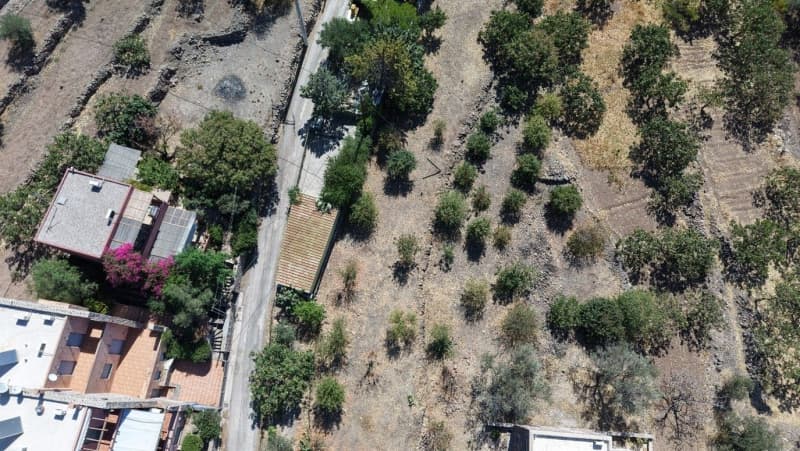 Οικόπεδο στην Καπότηδες, Αίγινα — Φωτογραφία 10 από 13