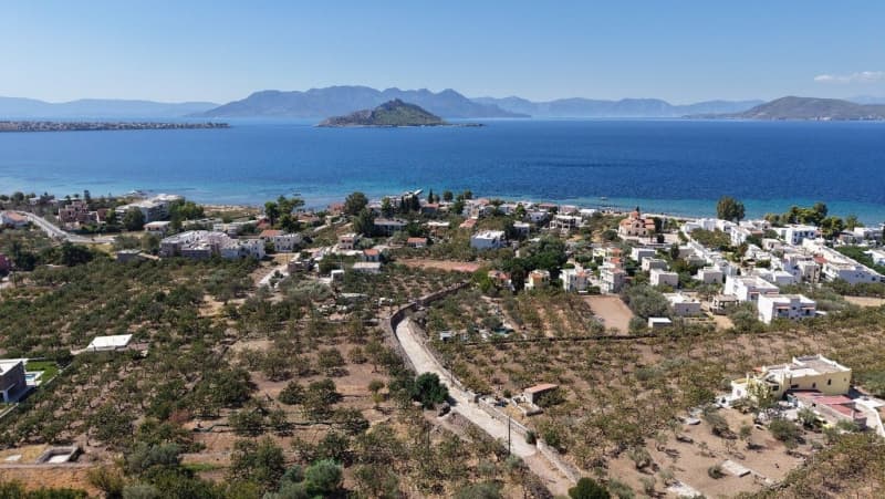 Οικόπεδο στην Καπότηδες, Αίγινα — Φωτογραφία 11 από 13
