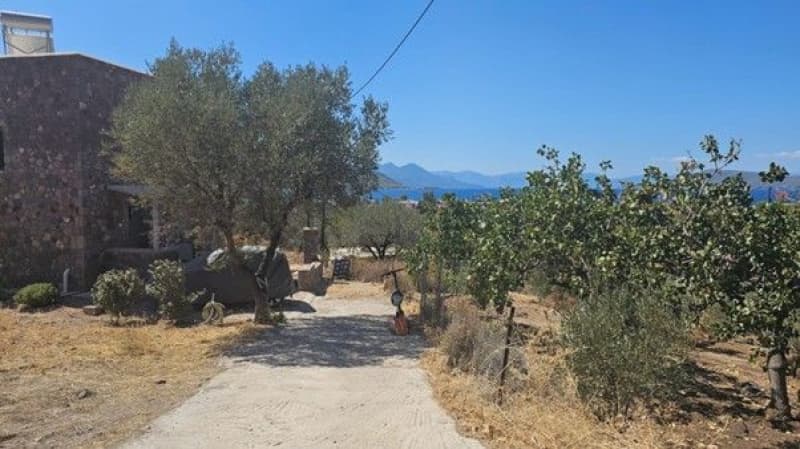 Οικόπεδο στην Καπότηδες, Αίγινα — Φωτογραφία 8 από 13