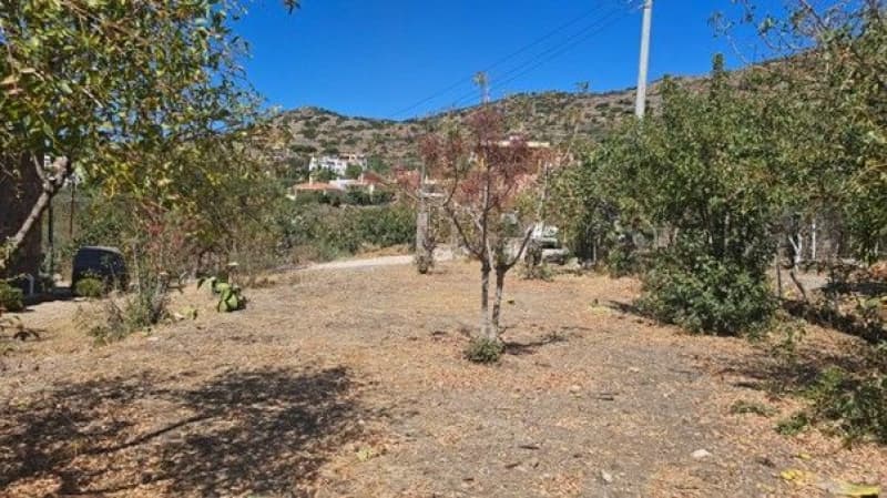 Οικόπεδο στην Καπότηδες, Αίγινα — Φωτογραφία 7 από 16