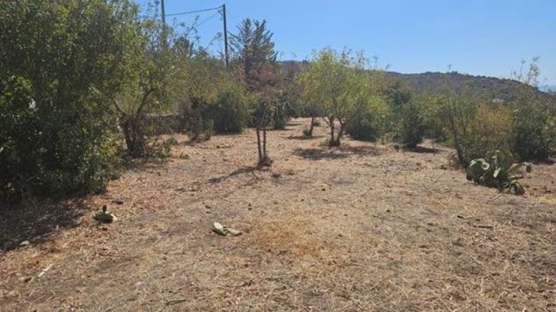 Οικόπεδο στην Καπότηδες, Αίγινα — Φωτογραφία 9 από 16