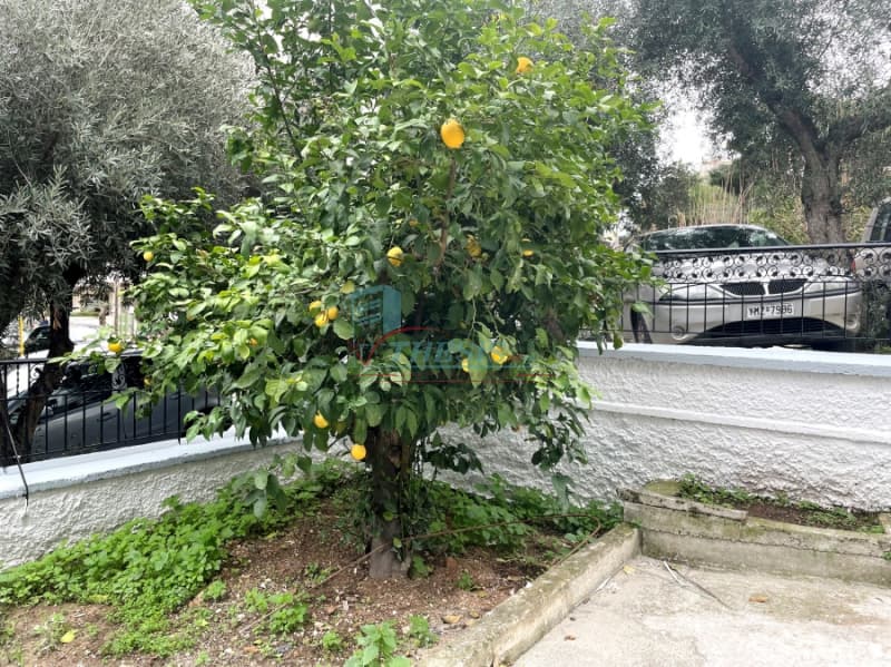 Apartment in Alsos, Nea Smyrni — Photo 10 of 13