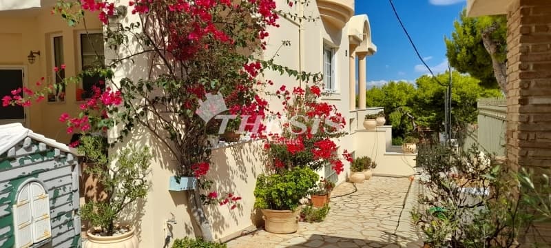 Μονοκατοικία στην Νηρέας, Ραφήνα — Φωτογραφία 21 από 22