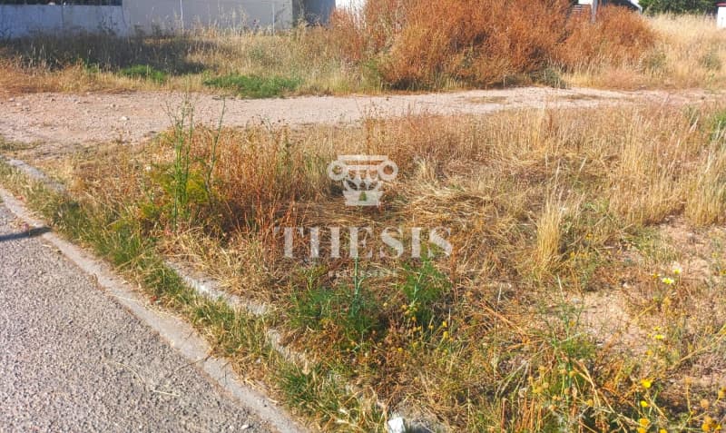 Building Plot in Megala Sxoinia A, Acharnes — Photo 1 of 3