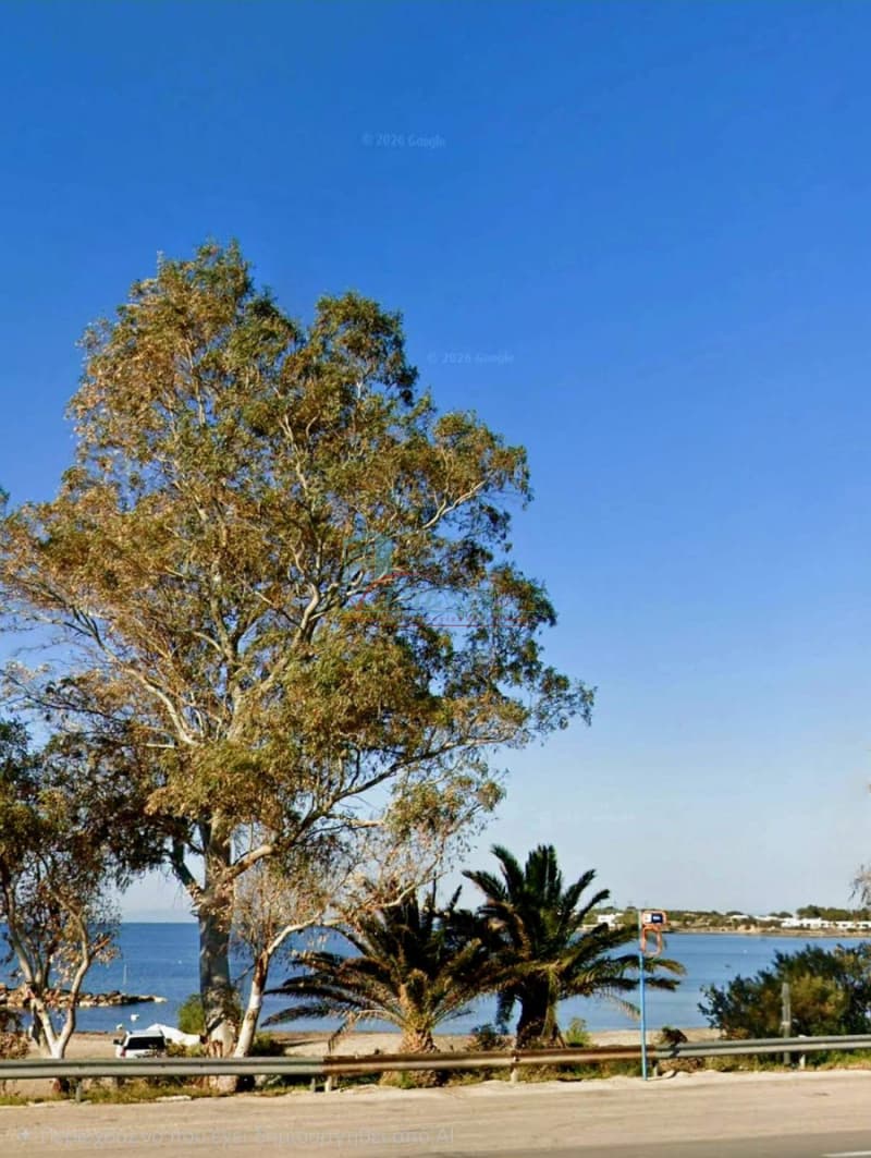 Οικόπεδο στην Καλύβια, Καλύβια Θορικού — Φωτογραφία 5 από 7