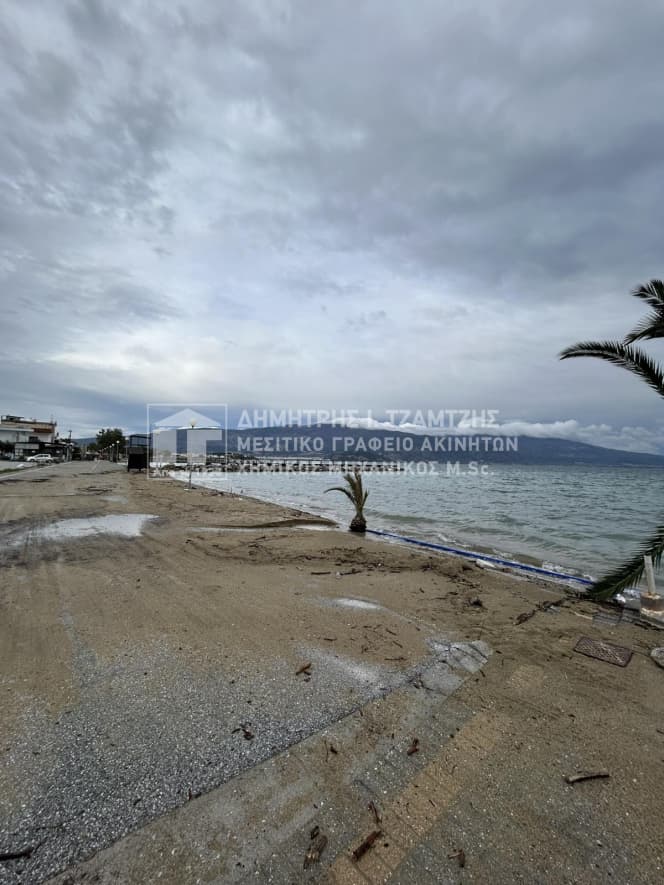 Κατάστημα στην Νέες Παγάσες, Βόλος — Φωτογραφία 3 από 30