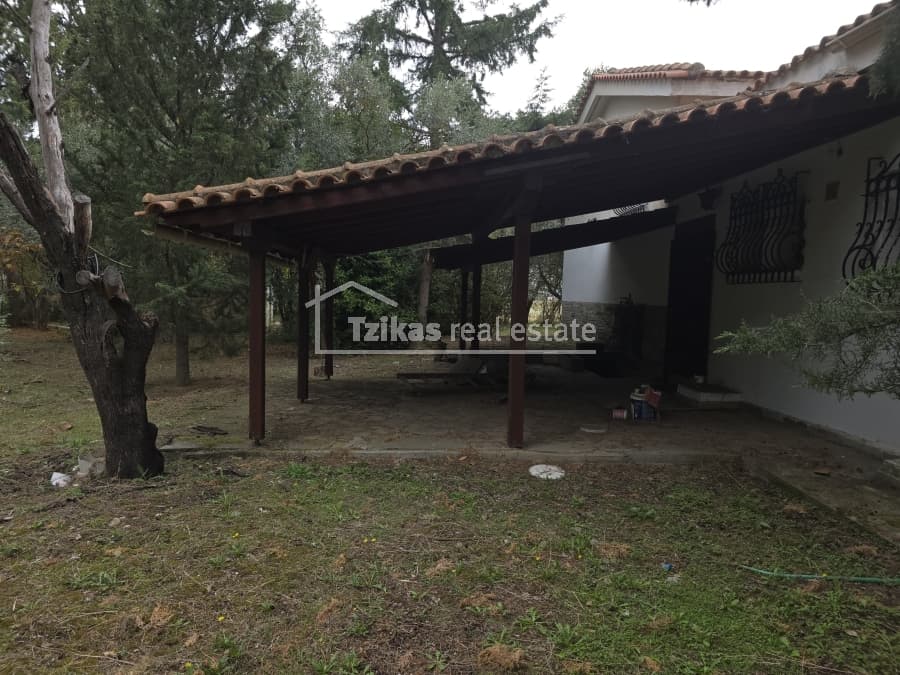 House in Lakkia, Vasilika — Photo 19 of 20