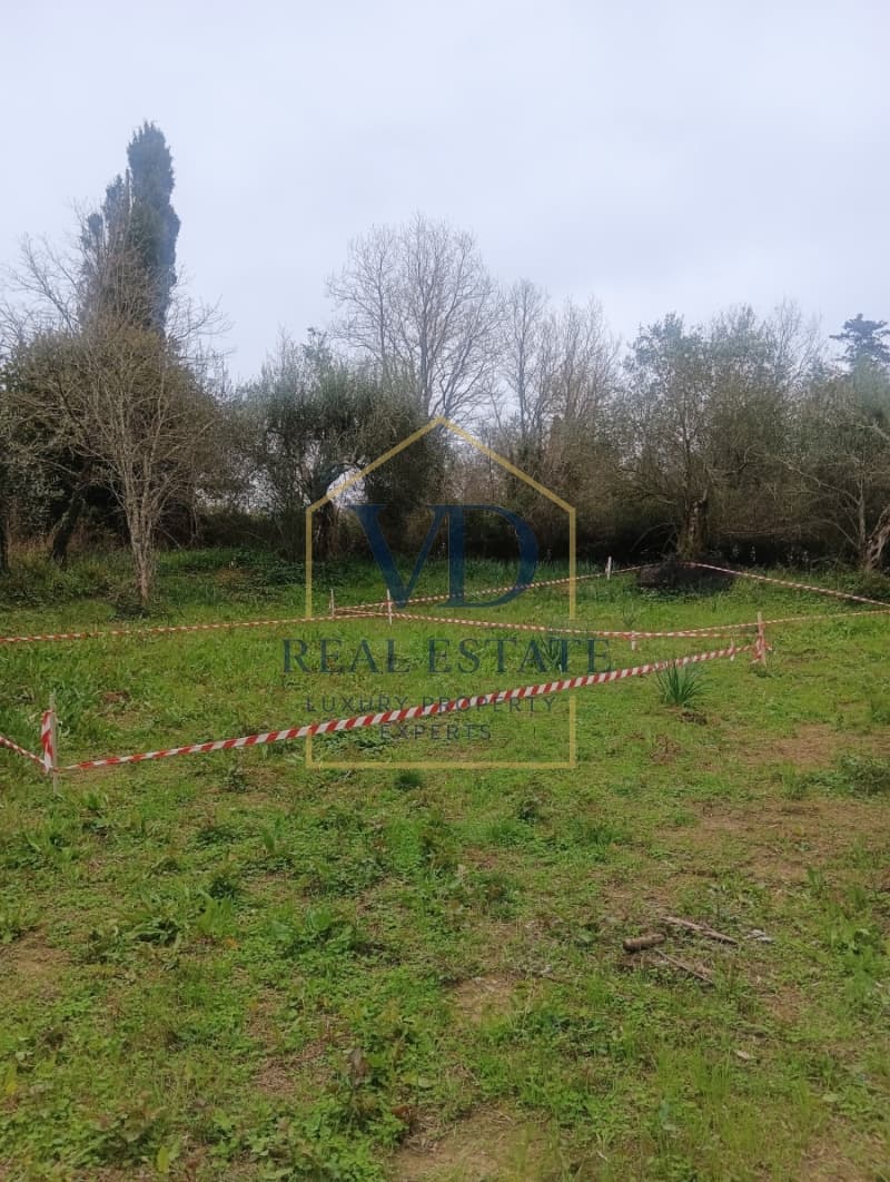 Parcel in Faiakes, Corfu — Photo 1 of 5