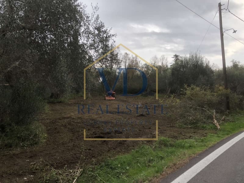 Parcel in Faiakes, Corfu — Photo 3 of 5