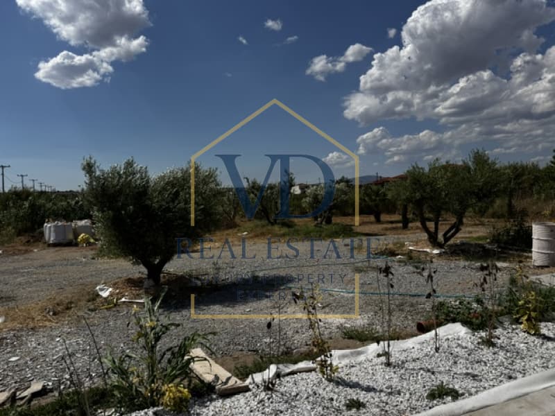Μονοκατοικία στην Παραλία Διονυσίου, Μουδανιά — Φωτογραφία 7 από 24
