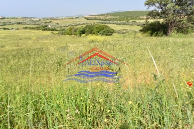 Αγροτεμάχιο στην Νέα Χιλή, Αλεξανδρούπολη — Φωτογραφία 3 από 4
