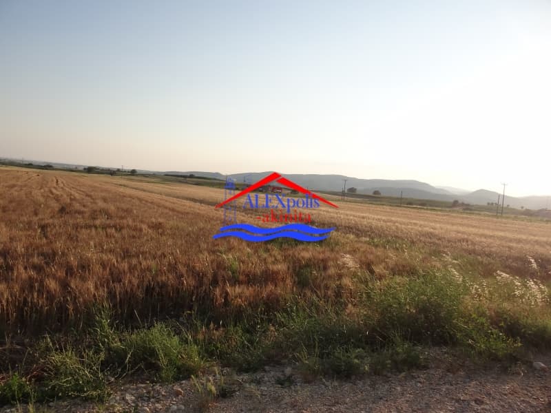 Parcel in Doriko, Traianoupoli — Photo 14 of 23