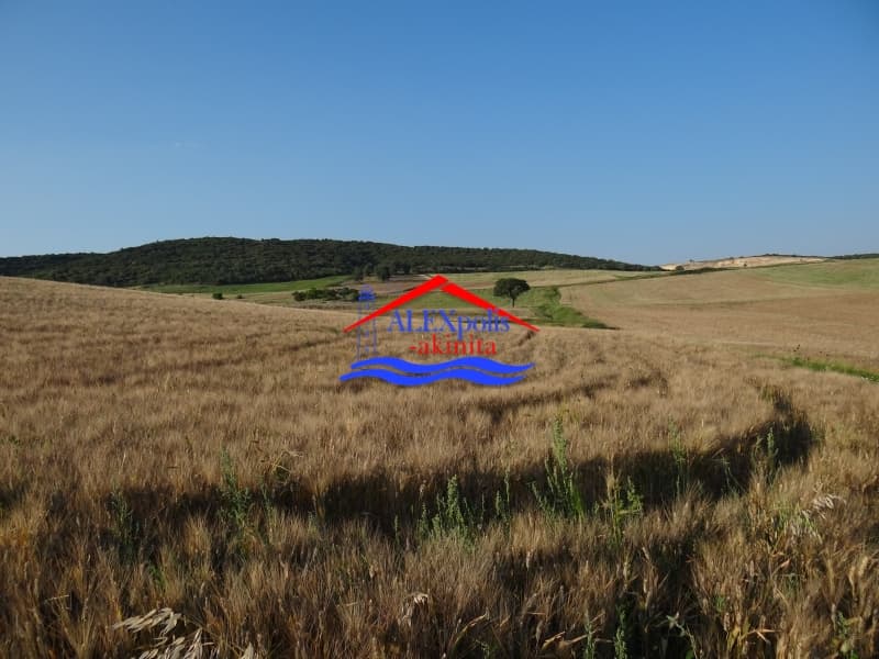 Parcel in Avantas, Alexandroupoli — Photo 15 of 31