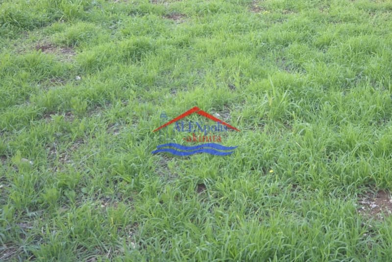 Building Plot in Agios Vasilios, Alexandroupoli — Photo 2 of 2